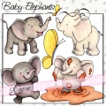 Baby Elephants