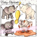 Baby Elephants