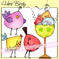 Here Birdy