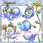 Bluebirds