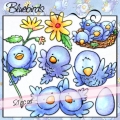 Bluebirds