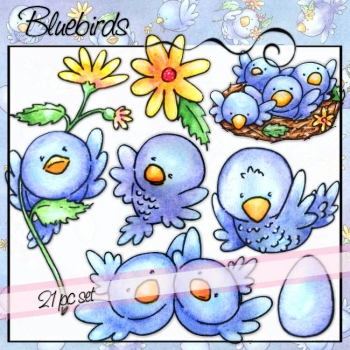 Bluebirds