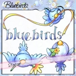 Bluebirds