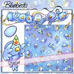 Bluebirds