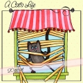 A Cat's Life