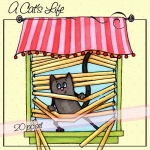 A Cat's Life