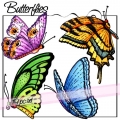 Butterflies