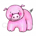 Cute Pig