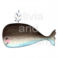 Cute Whale