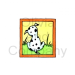 Dog Snapshot
