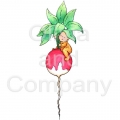 Baby Boy On Radish