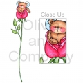 Rosebud Bear