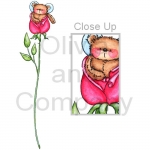 Rosebud Bear