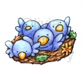 Bluebird Nest