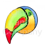 Toucan In The Round