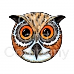 Owl In The Round