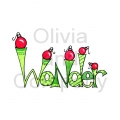 Christmas Wonder