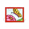 Butterfly Snapshot