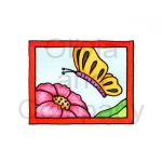 Butterfly Snapshot