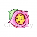 Pink Fantasy Bloom