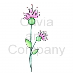 Pink Fantasy Flower