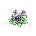 Purple Fantasy Violets