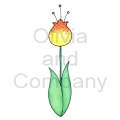 Yellow Fantasy Tulip