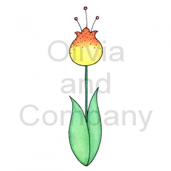 Yellow Fantasy Tulip