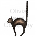 Scruffy Black Cat