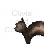 Scruffy Black Cat