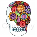 Bright Flowers Skull