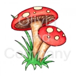 Red Irish Mushrooms