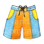 Swimming Trunks