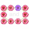 Zinnia Frame