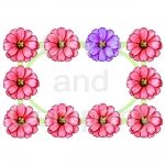 Zinnia Frame