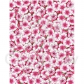 Cherry Blossoms Paper