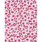 Cherry Blossoms Paper