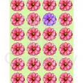 Zinnia Paper