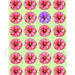 Zinnia Paper