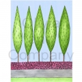 French Tree Line Paper