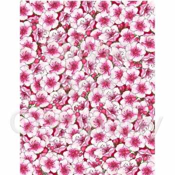 Cherry Blossoms Paper